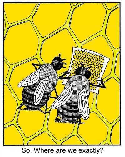 Pszczółki z problemem